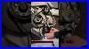 Bmw E34 M5 Power Steering Pump Belt Installation Bmw Cars Mechanic Automotive