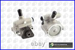 Fits Fiat Steering System Hydraulic Pump Replacement Service Repair BGA PSP2209