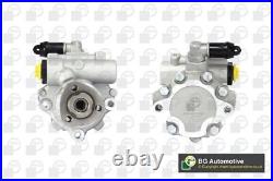 Fits VW Steering System Hydraulic Pump Replacement Service Repair BGA PSP9600