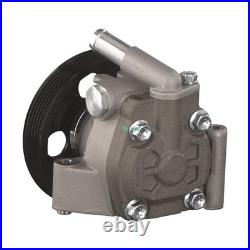 Power Steering Pump 180993 Febi PAS 1377176 1387623 1432495 1463840 1466145 New